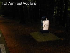 [P20] Lacul Sfânta Ana - Suntem pe drumul cel bun. » foto by iulianic
 - 
<span class="allrVoted glyphicon glyphicon-heart hidden" id="av1375344"></span>
<a class="m-l-10 hidden" id="sv1375344" onclick="voting_Foto_DelVot(,1375344,4197)" role="button">șterge vot <span class="glyphicon glyphicon-remove"></span></a>
<a id="v91375344" class=" c-red"  onclick="voting_Foto_SetVot(1375344)" role="button"><span class="glyphicon glyphicon-heart-empty"></span> <b>LIKE</b> = Votează poza</a> <img class="hidden"  id="f1375344W9" src="/imagini/loader.gif" border="0" /><span class="AjErrMes hidden" id="e1375344ErM"></span>