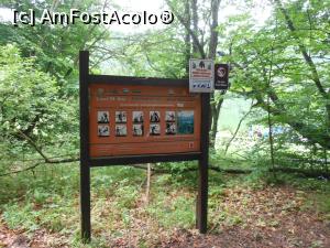 [P24] Lacul Sfânta Ana - Informații în rezervația naturală. » foto by iulianic
 - 
<span class="allrVoted glyphicon glyphicon-heart hidden" id="av1375348"></span>
<a class="m-l-10 hidden" id="sv1375348" onclick="voting_Foto_DelVot(,1375348,4197)" role="button">șterge vot <span class="glyphicon glyphicon-remove"></span></a>
<a id="v91375348" class=" c-red"  onclick="voting_Foto_SetVot(1375348)" role="button"><span class="glyphicon glyphicon-heart-empty"></span> <b>LIKE</b> = Votează poza</a> <img class="hidden"  id="f1375348W9" src="/imagini/loader.gif" border="0" /><span class="AjErrMes hidden" id="e1375348ErM"></span>