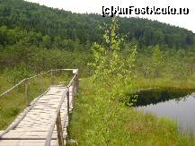 [P08] Lacul Sf. Ana - Mlastina cu muschi, Tinovul Mohos - aici se termina podetul si ramane doar poteca din placi de lemn » foto by biancuta
 - 
<span class="allrVoted glyphicon glyphicon-heart hidden" id="av227143"></span>
<a class="m-l-10 hidden" id="sv227143" onclick="voting_Foto_DelVot(,227143,4197)" role="button">șterge vot <span class="glyphicon glyphicon-remove"></span></a>
<a id="v9227143" class=" c-red"  onclick="voting_Foto_SetVot(227143)" role="button"><span class="glyphicon glyphicon-heart-empty"></span> <b>LIKE</b> = Votează poza</a> <img class="hidden"  id="f227143W9" src="/imagini/loader.gif" border="0" /><span class="AjErrMes hidden" id="e227143ErM"></span>