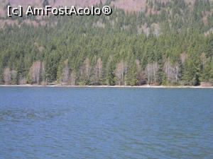 [P05] Lacul Sfânta Ana » foto by zlatna
 - 
<span class="allrVoted glyphicon glyphicon-heart hidden" id="av748202"></span>
<a class="m-l-10 hidden" id="sv748202" onclick="voting_Foto_DelVot(,748202,4197)" role="button">șterge vot <span class="glyphicon glyphicon-remove"></span></a>
<a id="v9748202" class=" c-red"  onclick="voting_Foto_SetVot(748202)" role="button"><span class="glyphicon glyphicon-heart-empty"></span> <b>LIKE</b> = Votează poza</a> <img class="hidden"  id="f748202W9" src="/imagini/loader.gif" border="0" /><span class="AjErrMes hidden" id="e748202ErM"></span>