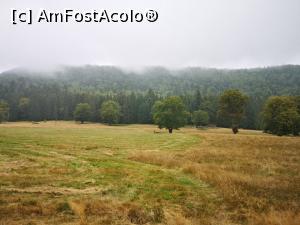 [P12] Imensa poiană; dincolo de perdeaua de brazi se află tinovul » foto by crismis
 - 
<span class="allrVoted glyphicon glyphicon-heart hidden" id="av1206111"></span>
<a class="m-l-10 hidden" id="sv1206111" onclick="voting_Foto_DelVot(,1206111,4197)" role="button">șterge vot <span class="glyphicon glyphicon-remove"></span></a>
<a id="v91206111" class=" c-red"  onclick="voting_Foto_SetVot(1206111)" role="button"><span class="glyphicon glyphicon-heart-empty"></span> <b>LIKE</b> = Votează poza</a> <img class="hidden"  id="f1206111W9" src="/imagini/loader.gif" border="0" /><span class="AjErrMes hidden" id="e1206111ErM"></span>