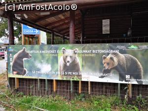 [P04] Suntem cu toții fii ai Naturii, să trăim în pace și să ne respectăm! » foto by crismis
 - 
<span class="allrVoted glyphicon glyphicon-heart hidden" id="av1206103"></span>
<a class="m-l-10 hidden" id="sv1206103" onclick="voting_Foto_DelVot(,1206103,4197)" role="button">șterge vot <span class="glyphicon glyphicon-remove"></span></a>
<a id="v91206103" class=" c-red"  onclick="voting_Foto_SetVot(1206103)" role="button"><span class="glyphicon glyphicon-heart-empty"></span> <b>LIKE</b> = Votează poza</a> <img class="hidden"  id="f1206103W9" src="/imagini/loader.gif" border="0" /><span class="AjErrMes hidden" id="e1206103ErM"></span>