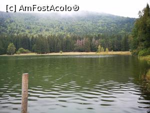 [P09] Lacul Sf. Ana » foto by crismis
 - 
<span class="allrVoted glyphicon glyphicon-heart hidden" id="av1206108"></span>
<a class="m-l-10 hidden" id="sv1206108" onclick="voting_Foto_DelVot(,1206108,4197)" role="button">șterge vot <span class="glyphicon glyphicon-remove"></span></a>
<a id="v91206108" class=" c-red"  onclick="voting_Foto_SetVot(1206108)" role="button"><span class="glyphicon glyphicon-heart-empty"></span> <b>LIKE</b> = Votează poza</a> <img class="hidden"  id="f1206108W9" src="/imagini/loader.gif" border="0" /><span class="AjErrMes hidden" id="e1206108ErM"></span>