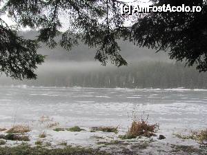 [P08] Poza facuta de la marginea padurii spre lac » foto by little_john
 - 
<span class="allrVoted glyphicon glyphicon-heart hidden" id="av410785"></span>
<a class="m-l-10 hidden" id="sv410785" onclick="voting_Foto_DelVot(,410785,4197)" role="button">șterge vot <span class="glyphicon glyphicon-remove"></span></a>
<a id="v9410785" class=" c-red"  onclick="voting_Foto_SetVot(410785)" role="button"><span class="glyphicon glyphicon-heart-empty"></span> <b>LIKE</b> = Votează poza</a> <img class="hidden"  id="f410785W9" src="/imagini/loader.gif" border="0" /><span class="AjErrMes hidden" id="e410785ErM"></span>