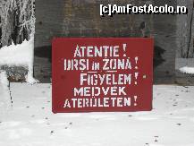 [P08]  -- <small>// FĂRĂ DESCRIERE</small> » foto by lizuk
 - 
<span class="allrVoted glyphicon glyphicon-heart hidden" id="av38817"></span>
<a class="m-l-10 hidden" id="sv38817" onclick="voting_Foto_DelVot(,38817,4197)" role="button">șterge vot <span class="glyphicon glyphicon-remove"></span></a>
<a id="v938817" class=" c-red"  onclick="voting_Foto_SetVot(38817)" role="button"><span class="glyphicon glyphicon-heart-empty"></span> <b>LIKE</b> = Votează poza</a> <img class="hidden"  id="f38817W9" src="/imagini/loader.gif" border="0" /><span class="AjErrMes hidden" id="e38817ErM"></span>