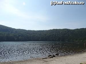 [P07] O zi de plajã la lacul Sfânta Ana. Gata. S-a dat verdictul. Ramanem aici :)  » foto by vega06
 - 
<span class="allrVoted glyphicon glyphicon-heart hidden" id="av698411"></span>
<a class="m-l-10 hidden" id="sv698411" onclick="voting_Foto_DelVot(,698411,4197)" role="button">șterge vot <span class="glyphicon glyphicon-remove"></span></a>
<a id="v9698411" class=" c-red"  onclick="voting_Foto_SetVot(698411)" role="button"><span class="glyphicon glyphicon-heart-empty"></span> <b>LIKE</b> = Votează poza</a> <img class="hidden"  id="f698411W9" src="/imagini/loader.gif" border="0" /><span class="AjErrMes hidden" id="e698411ErM"></span>
