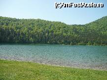 [P04] am ajuns si jos la lac » foto by alinush_geo
 - 
<span class="allrVoted glyphicon glyphicon-heart hidden" id="av39678"></span>
<a class="m-l-10 hidden" id="sv39678" onclick="voting_Foto_DelVot(,39678,4197)" role="button">șterge vot <span class="glyphicon glyphicon-remove"></span></a>
<a id="v939678" class=" c-red"  onclick="voting_Foto_SetVot(39678)" role="button"><span class="glyphicon glyphicon-heart-empty"></span> <b>LIKE</b> = Votează poza</a> <img class="hidden"  id="f39678W9" src="/imagini/loader.gif" border="0" /><span class="AjErrMes hidden" id="e39678ErM"></span>