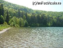 [P09] lacul » foto by alinush_geo
 - 
<span class="allrVoted glyphicon glyphicon-heart hidden" id="av39686"></span>
<a class="m-l-10 hidden" id="sv39686" onclick="voting_Foto_DelVot(,39686,4197)" role="button">șterge vot <span class="glyphicon glyphicon-remove"></span></a>
<a id="v939686" class=" c-red"  onclick="voting_Foto_SetVot(39686)" role="button"><span class="glyphicon glyphicon-heart-empty"></span> <b>LIKE</b> = Votează poza</a> <img class="hidden"  id="f39686W9" src="/imagini/loader.gif" border="0" /><span class="AjErrMes hidden" id="e39686ErM"></span>