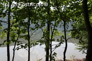 [P23] Vedere din pădure.  » foto by Utube
 - 
<span class="allrVoted glyphicon glyphicon-heart hidden" id="av778411"></span>
<a class="m-l-10 hidden" id="sv778411" onclick="voting_Foto_DelVot(,778411,4197)" role="button">șterge vot <span class="glyphicon glyphicon-remove"></span></a>
<a id="v9778411" class=" c-red"  onclick="voting_Foto_SetVot(778411)" role="button"><span class="glyphicon glyphicon-heart-empty"></span> <b>LIKE</b> = Votează poza</a> <img class="hidden"  id="f778411W9" src="/imagini/loader.gif" border="0" /><span class="AjErrMes hidden" id="e778411ErM"></span>
