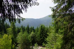 [P34] Lacul văzut din postul de observare. Drumul ce duce spre lac se vede în partea de jos.  » foto by Utube
 - 
<span class="allrVoted glyphicon glyphicon-heart hidden" id="av778426"></span>
<a class="m-l-10 hidden" id="sv778426" onclick="voting_Foto_DelVot(,778426,4197)" role="button">șterge vot <span class="glyphicon glyphicon-remove"></span></a>
<a id="v9778426" class=" c-red"  onclick="voting_Foto_SetVot(778426)" role="button"><span class="glyphicon glyphicon-heart-empty"></span> <b>LIKE</b> = Votează poza</a> <img class="hidden"  id="f778426W9" src="/imagini/loader.gif" border="0" /><span class="AjErrMes hidden" id="e778426ErM"></span>