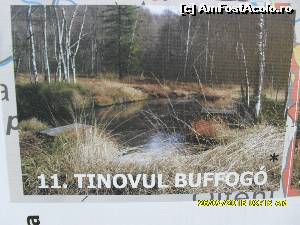 [P13] obiective turistice din zona Turia si Balvanyos » foto by adryana
 - 
<span class="allrVoted glyphicon glyphicon-heart hidden" id="av612641"></span>
<a class="m-l-10 hidden" id="sv612641" onclick="voting_Foto_DelVot(,612641,4197)" role="button">șterge vot <span class="glyphicon glyphicon-remove"></span></a>
<a id="v9612641" class=" c-red"  onclick="voting_Foto_SetVot(612641)" role="button"><span class="glyphicon glyphicon-heart-empty"></span> <b>LIKE</b> = Votează poza</a> <img class="hidden"  id="f612641W9" src="/imagini/loader.gif" border="0" /><span class="AjErrMes hidden" id="e612641ErM"></span>