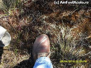[P49] in jur era doar apa si muschi » foto by adryana
 - 
<span class="allrVoted glyphicon glyphicon-heart hidden" id="av612678"></span>
<a class="m-l-10 hidden" id="sv612678" onclick="voting_Foto_DelVot(,612678,4197)" role="button">șterge vot <span class="glyphicon glyphicon-remove"></span></a>
<a id="v9612678" class=" c-red"  onclick="voting_Foto_SetVot(612678)" role="button"><span class="glyphicon glyphicon-heart-empty"></span> <b>LIKE</b> = Votează poza</a> <img class="hidden"  id="f612678W9" src="/imagini/loader.gif" border="0" /><span class="AjErrMes hidden" id="e612678ErM"></span>