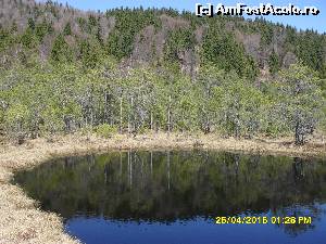 [P51] Tinovul Mohos, cel mare » foto by adryana
 - 
<span class="allrVoted glyphicon glyphicon-heart hidden" id="av612680"></span>
<a class="m-l-10 hidden" id="sv612680" onclick="voting_Foto_DelVot(,612680,4197)" role="button">șterge vot <span class="glyphicon glyphicon-remove"></span></a>
<a id="v9612680" class=" c-red"  onclick="voting_Foto_SetVot(612680)" role="button"><span class="glyphicon glyphicon-heart-empty"></span> <b>LIKE</b> = Votează poza</a> <img class="hidden"  id="f612680W9" src="/imagini/loader.gif" border="0" /><span class="AjErrMes hidden" id="e612680ErM"></span>
