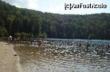 [P03] Vedere asupra lacului » foto by Tempo
 - 
<span class="allrVoted glyphicon glyphicon-heart hidden" id="av199926"></span>
<a class="m-l-10 hidden" id="sv199926" onclick="voting_Foto_DelVot(,199926,4197)" role="button">șterge vot <span class="glyphicon glyphicon-remove"></span></a>
<a id="v9199926" class=" c-red"  onclick="voting_Foto_SetVot(199926)" role="button"><span class="glyphicon glyphicon-heart-empty"></span> <b>LIKE</b> = Votează poza</a> <img class="hidden"  id="f199926W9" src="/imagini/loader.gif" border="0" /><span class="AjErrMes hidden" id="e199926ErM"></span>