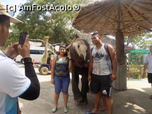 [P13] Micul pui de elefant cu turistii » foto by monaserban
 - 
<span class="allrVoted glyphicon glyphicon-heart hidden" id="av822029"></span>
<a class="m-l-10 hidden" id="sv822029" onclick="voting_Foto_DelVot(,822029,4203)" role="button">șterge vot <span class="glyphicon glyphicon-remove"></span></a>
<a id="v9822029" class=" c-red"  onclick="voting_Foto_SetVot(822029)" role="button"><span class="glyphicon glyphicon-heart-empty"></span> <b>LIKE</b> = Votează poza</a> <img class="hidden"  id="f822029W9" src="/imagini/loader.gif" border="0" /><span class="AjErrMes hidden" id="e822029ErM"></span>