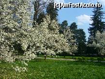 [P78] Manastirea Curtea de Arges - magnolii... » foto by magdalena
 - 
<span class="allrVoted glyphicon glyphicon-heart hidden" id="av66268"></span>
<a class="m-l-10 hidden" id="sv66268" onclick="voting_Foto_DelVot(,66268,4208)" role="button">șterge vot <span class="glyphicon glyphicon-remove"></span></a>
<a id="v966268" class=" c-red"  onclick="voting_Foto_SetVot(66268)" role="button"><span class="glyphicon glyphicon-heart-empty"></span> <b>LIKE</b> = Votează poza</a> <img class="hidden"  id="f66268W9" src="/imagini/loader.gif" border="0" /><span class="AjErrMes hidden" id="e66268ErM"></span>