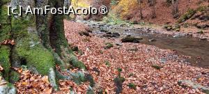 [P08] Râul Vâlsan. » foto by tata123 🔱
 - 
<span class="allrVoted glyphicon glyphicon-heart hidden" id="av1504333"></span>
<a class="m-l-10 hidden" id="sv1504333" onclick="voting_Foto_DelVot(,1504333,4208)" role="button">șterge vot <span class="glyphicon glyphicon-remove"></span></a>
<a id="v91504333" class=" c-red"  onclick="voting_Foto_SetVot(1504333)" role="button"><span class="glyphicon glyphicon-heart-empty"></span> <b>LIKE</b> = Votează poza</a> <img class="hidden"  id="f1504333W9" src="/imagini/loader.gif" border="0" /><span class="AjErrMes hidden" id="e1504333ErM"></span>