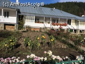 [P12] A venit toamna, de remarcat productia de rosii. In fundal Chiliile.  » foto by RossoNerro
 - 
<span class="allrVoted glyphicon glyphicon-heart hidden" id="av926135"></span>
<a class="m-l-10 hidden" id="sv926135" onclick="voting_Foto_DelVot(,926135,4213)" role="button">șterge vot <span class="glyphicon glyphicon-remove"></span></a>
<a id="v9926135" class=" c-red"  onclick="voting_Foto_SetVot(926135)" role="button"><span class="glyphicon glyphicon-heart-empty"></span> <b>LIKE</b> = Votează poza</a> <img class="hidden"  id="f926135W9" src="/imagini/loader.gif" border="0" /><span class="AjErrMes hidden" id="e926135ErM"></span>