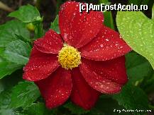 [P15]  -- <small>// FĂRĂ DESCRIERE</small> » foto by dannek
 - 
<span class="allrVoted glyphicon glyphicon-heart hidden" id="av149375"></span>
<a class="m-l-10 hidden" id="sv149375" onclick="voting_Foto_DelVot(,149375,4213)" role="button">șterge vot <span class="glyphicon glyphicon-remove"></span></a>
<a id="v9149375" class=" c-red"  onclick="voting_Foto_SetVot(149375)" role="button"><span class="glyphicon glyphicon-heart-empty"></span> <b>LIKE</b> = Votează poza</a> <img class="hidden"  id="f149375W9" src="/imagini/loader.gif" border="0" /><span class="AjErrMes hidden" id="e149375ErM"></span>