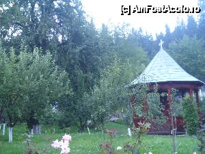 [P21]  -- <small>// FĂRĂ DESCRIERE</small> » foto by diana-camelia*
 - 
<span class="allrVoted glyphicon glyphicon-heart hidden" id="av453641"></span>
<a class="m-l-10 hidden" id="sv453641" onclick="voting_Foto_DelVot(,453641,4213)" role="button">șterge vot <span class="glyphicon glyphicon-remove"></span></a>
<a id="v9453641" class=" c-red"  onclick="voting_Foto_SetVot(453641)" role="button"><span class="glyphicon glyphicon-heart-empty"></span> <b>LIKE</b> = Votează poza</a> <img class="hidden"  id="f453641W9" src="/imagini/loader.gif" border="0" /><span class="AjErrMes hidden" id="e453641ErM"></span>
