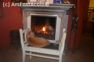 [P15]  -- <small>// FĂRĂ DESCRIERE</small> » foto by icata24
 - 
<span class="allrVoted glyphicon glyphicon-heart hidden" id="av706042"></span>
<a class="m-l-10 hidden" id="sv706042" onclick="voting_Foto_DelVot(,706042,4214)" role="button">șterge vot <span class="glyphicon glyphicon-remove"></span></a>
<a id="v9706042" class=" c-red"  onclick="voting_Foto_SetVot(706042)" role="button"><span class="glyphicon glyphicon-heart-empty"></span> <b>LIKE</b> = Votează poza</a> <img class="hidden"  id="f706042W9" src="/imagini/loader.gif" border="0" /><span class="AjErrMes hidden" id="e706042ErM"></span>