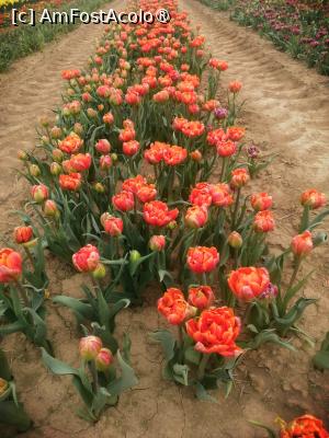 [P11]  -- <small>// FĂRĂ DESCRIERE</small> » foto by Cristian_h
 - 
<span class="allrVoted glyphicon glyphicon-heart hidden" id="av1518642"></span>
<a class="m-l-10 hidden" id="sv1518642" onclick="voting_Foto_DelVot(,1518642,4219)" role="button">șterge vot <span class="glyphicon glyphicon-remove"></span></a>
<a id="v91518642" class=" c-red"  onclick="voting_Foto_SetVot(1518642)" role="button"><span class="glyphicon glyphicon-heart-empty"></span> <b>LIKE</b> = Votează poza</a> <img class="hidden"  id="f1518642W9" src="/imagini/loader.gif" border="0" /><span class="AjErrMes hidden" id="e1518642ErM"></span>