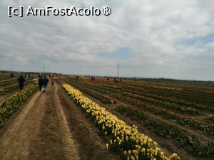 [P12]  -- <small>// FĂRĂ DESCRIERE</small> » foto by Cristian_h
 - 
<span class="allrVoted glyphicon glyphicon-heart hidden" id="av1518643"></span>
<a class="m-l-10 hidden" id="sv1518643" onclick="voting_Foto_DelVot(,1518643,4219)" role="button">șterge vot <span class="glyphicon glyphicon-remove"></span></a>
<a id="v91518643" class=" c-red"  onclick="voting_Foto_SetVot(1518643)" role="button"><span class="glyphicon glyphicon-heart-empty"></span> <b>LIKE</b> = Votează poza</a> <img class="hidden"  id="f1518643W9" src="/imagini/loader.gif" border="0" /><span class="AjErrMes hidden" id="e1518643ErM"></span>