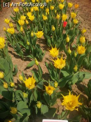 [P02]  -- <small>// FĂRĂ DESCRIERE</small> » foto by Cristian_h
 - 
<span class="allrVoted glyphicon glyphicon-heart hidden" id="av1518633"></span>
<a class="m-l-10 hidden" id="sv1518633" onclick="voting_Foto_DelVot(,1518633,4219)" role="button">șterge vot <span class="glyphicon glyphicon-remove"></span></a>
<a id="v91518633" class=" c-red"  onclick="voting_Foto_SetVot(1518633)" role="button"><span class="glyphicon glyphicon-heart-empty"></span> <b>LIKE</b> = Votează poza</a> <img class="hidden"  id="f1518633W9" src="/imagini/loader.gif" border="0" /><span class="AjErrMes hidden" id="e1518633ErM"></span>