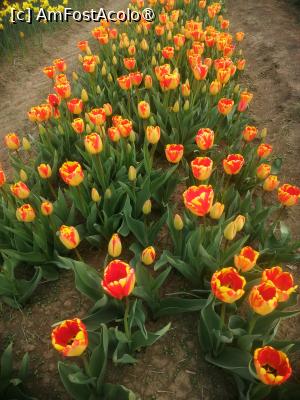 [P05]  -- <small>// FĂRĂ DESCRIERE</small> » foto by Cristian_h
 - 
<span class="allrVoted glyphicon glyphicon-heart hidden" id="av1518636"></span>
<a class="m-l-10 hidden" id="sv1518636" onclick="voting_Foto_DelVot(,1518636,4219)" role="button">șterge vot <span class="glyphicon glyphicon-remove"></span></a>
<a id="v91518636" class=" c-red"  onclick="voting_Foto_SetVot(1518636)" role="button"><span class="glyphicon glyphicon-heart-empty"></span> <b>LIKE</b> = Votează poza</a> <img class="hidden"  id="f1518636W9" src="/imagini/loader.gif" border="0" /><span class="AjErrMes hidden" id="e1518636ErM"></span>