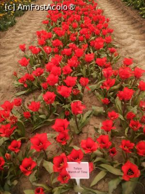 [P07]  -- <small>// FĂRĂ DESCRIERE</small> » foto by Cristian_h
 - 
<span class="allrVoted glyphicon glyphicon-heart hidden" id="av1518638"></span>
<a class="m-l-10 hidden" id="sv1518638" onclick="voting_Foto_DelVot(,1518638,4219)" role="button">șterge vot <span class="glyphicon glyphicon-remove"></span></a>
<a id="v91518638" class=" c-red"  onclick="voting_Foto_SetVot(1518638)" role="button"><span class="glyphicon glyphicon-heart-empty"></span> <b>LIKE</b> = Votează poza</a> <img class="hidden"  id="f1518638W9" src="/imagini/loader.gif" border="0" /><span class="AjErrMes hidden" id="e1518638ErM"></span>