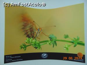 [P29] fotografie de la Soc de geografie rusa: decolarea » foto by Yolanda
 - 
<span class="allrVoted glyphicon glyphicon-heart hidden" id="av1085135"></span>
<a class="m-l-10 hidden" id="sv1085135" onclick="voting_Foto_DelVot(,1085135,4219)" role="button">șterge vot <span class="glyphicon glyphicon-remove"></span></a>
<a id="v91085135" class=" c-red"  onclick="voting_Foto_SetVot(1085135)" role="button"><span class="glyphicon glyphicon-heart-empty"></span> <b>LIKE</b> = Votează poza</a> <img class="hidden"  id="f1085135W9" src="/imagini/loader.gif" border="0" /><span class="AjErrMes hidden" id="e1085135ErM"></span>