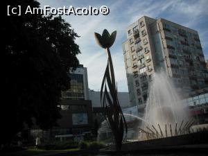 [P33] Laleaua, simbolul orașului Pitești.  » foto by Zoazore
 - 
<span class="allrVoted glyphicon glyphicon-heart hidden" id="av1086660"></span>
<a class="m-l-10 hidden" id="sv1086660" onclick="voting_Foto_DelVot(,1086660,4219)" role="button">șterge vot <span class="glyphicon glyphicon-remove"></span></a>
<a id="v91086660" class=" c-red"  onclick="voting_Foto_SetVot(1086660)" role="button"><span class="glyphicon glyphicon-heart-empty"></span> <b>LIKE</b> = Votează poza</a> <img class="hidden"  id="f1086660W9" src="/imagini/loader.gif" border="0" /><span class="AjErrMes hidden" id="e1086660ErM"></span>