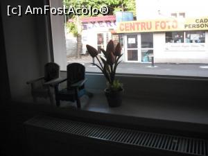 [P40] În căsuța de poveste, Cofetăria Alexandrei.  » foto by Zoazore
 - 
<span class="allrVoted glyphicon glyphicon-heart hidden" id="av1086667"></span>
<a class="m-l-10 hidden" id="sv1086667" onclick="voting_Foto_DelVot(,1086667,4219)" role="button">șterge vot <span class="glyphicon glyphicon-remove"></span></a>
<a id="v91086667" class=" c-red"  onclick="voting_Foto_SetVot(1086667)" role="button"><span class="glyphicon glyphicon-heart-empty"></span> <b>LIKE</b> = Votează poza</a> <img class="hidden"  id="f1086667W9" src="/imagini/loader.gif" border="0" /><span class="AjErrMes hidden" id="e1086667ErM"></span>