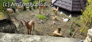 [P50] 50. O mini grădină zoologică, din leme, creată, cred, de călugări, în timpul liber. » foto by msnd
 - 
<span class="allrVoted glyphicon glyphicon-heart hidden" id="av1504648"></span>
<a class="m-l-10 hidden" id="sv1504648" onclick="voting_Foto_DelVot(,1504648,4219)" role="button">șterge vot <span class="glyphicon glyphicon-remove"></span></a>
<a id="v91504648" class=" c-red"  onclick="voting_Foto_SetVot(1504648)" role="button"><span class="glyphicon glyphicon-heart-empty"></span> <b>LIKE</b> = Votează poza</a> <img class="hidden"  id="f1504648W9" src="/imagini/loader.gif" border="0" /><span class="AjErrMes hidden" id="e1504648ErM"></span>