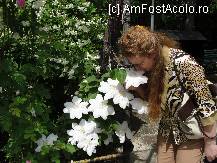 [P23] Cele mai frumoase flori de la manastirea Trivale » foto by dananecula*
 - 
<span class="allrVoted glyphicon glyphicon-heart hidden" id="av244625"></span>
<a class="m-l-10 hidden" id="sv244625" onclick="voting_Foto_DelVot(,244625,4219)" role="button">șterge vot <span class="glyphicon glyphicon-remove"></span></a>
<a id="v9244625" class=" c-red"  onclick="voting_Foto_SetVot(244625)" role="button"><span class="glyphicon glyphicon-heart-empty"></span> <b>LIKE</b> = Votează poza</a> <img class="hidden"  id="f244625W9" src="/imagini/loader.gif" border="0" /><span class="AjErrMes hidden" id="e244625ErM"></span>