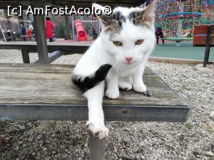 [P11] Zoo Pitesti » foto by ⭐ValentinB_88⭐
 - 
<span class="allrVoted glyphicon glyphicon-heart hidden" id="av1217309"></span>
<a class="m-l-10 hidden" id="sv1217309" onclick="voting_Foto_DelVot(,1217309,4219)" role="button">șterge vot <span class="glyphicon glyphicon-remove"></span></a>
<a id="v91217309" class=" c-red"  onclick="voting_Foto_SetVot(1217309)" role="button"><span class="glyphicon glyphicon-heart-empty"></span> <b>LIKE</b> = Votează poza</a> <img class="hidden"  id="f1217309W9" src="/imagini/loader.gif" border="0" /><span class="AjErrMes hidden" id="e1217309ErM"></span>