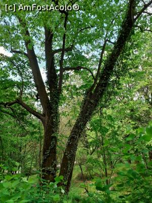 [P02] parcul muzeului » foto by lumiere
 - 
<span class="allrVoted glyphicon glyphicon-heart hidden" id="av1225473"></span>
<a class="m-l-10 hidden" id="sv1225473" onclick="voting_Foto_DelVot(,1225473,4219)" role="button">șterge vot <span class="glyphicon glyphicon-remove"></span></a>
<a id="v91225473" class=" c-red"  onclick="voting_Foto_SetVot(1225473)" role="button"><span class="glyphicon glyphicon-heart-empty"></span> <b>LIKE</b> = Votează poza</a> <img class="hidden"  id="f1225473W9" src="/imagini/loader.gif" border="0" /><span class="AjErrMes hidden" id="e1225473ErM"></span>