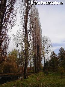 [P20] Parcul Ștrand din Pitești la amiaza unei zile târzii de toamnă » foto by mariana.olaru
 - 
<span class="allrVoted glyphicon glyphicon-heart hidden" id="av306831"></span>
<a class="m-l-10 hidden" id="sv306831" onclick="voting_Foto_DelVot(,306831,4219)" role="button">șterge vot <span class="glyphicon glyphicon-remove"></span></a>
<a id="v9306831" class=" c-red"  onclick="voting_Foto_SetVot(306831)" role="button"><span class="glyphicon glyphicon-heart-empty"></span> <b>LIKE</b> = Votează poza</a> <img class="hidden"  id="f306831W9" src="/imagini/loader.gif" border="0" /><span class="AjErrMes hidden" id="e306831ErM"></span>