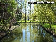 [P47] Invitație la o plimbare cu barca pe canalele Parcului Ștrand din Pitești » foto by mariana.olaru
 - 
<span class="allrVoted glyphicon glyphicon-heart hidden" id="av306858"></span>
<a class="m-l-10 hidden" id="sv306858" onclick="voting_Foto_DelVot(,306858,4219)" role="button">șterge vot <span class="glyphicon glyphicon-remove"></span></a>
<a id="v9306858" class=" c-red"  onclick="voting_Foto_SetVot(306858)" role="button"><span class="glyphicon glyphicon-heart-empty"></span> <b>LIKE</b> = Votează poza</a> <img class="hidden"  id="f306858W9" src="/imagini/loader.gif" border="0" /><span class="AjErrMes hidden" id="e306858ErM"></span>