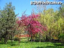 [P55] Primăvară în Parcul Ștrand din Pitești » foto by mariana.olaru
 - 
<span class="allrVoted glyphicon glyphicon-heart hidden" id="av306866"></span>
<a class="m-l-10 hidden" id="sv306866" onclick="voting_Foto_DelVot(,306866,4219)" role="button">șterge vot <span class="glyphicon glyphicon-remove"></span></a>
<a id="v9306866" class=" c-red"  onclick="voting_Foto_SetVot(306866)" role="button"><span class="glyphicon glyphicon-heart-empty"></span> <b>LIKE</b> = Votează poza</a> <img class="hidden"  id="f306866W9" src="/imagini/loader.gif" border="0" /><span class="AjErrMes hidden" id="e306866ErM"></span>