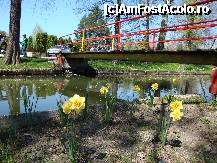 [P57] Parcul Ștrand din Pitești » foto by mariana.olaru
 - 
<span class="allrVoted glyphicon glyphicon-heart hidden" id="av306868"></span>
<a class="m-l-10 hidden" id="sv306868" onclick="voting_Foto_DelVot(,306868,4219)" role="button">șterge vot <span class="glyphicon glyphicon-remove"></span></a>
<a id="v9306868" class=" c-red"  onclick="voting_Foto_SetVot(306868)" role="button"><span class="glyphicon glyphicon-heart-empty"></span> <b>LIKE</b> = Votează poza</a> <img class="hidden"  id="f306868W9" src="/imagini/loader.gif" border="0" /><span class="AjErrMes hidden" id="e306868ErM"></span>