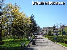 [P61] Parcul Ștrand din Pitești,aleea principală » foto by mariana.olaru
 - 
<span class="allrVoted glyphicon glyphicon-heart hidden" id="av306872"></span>
<a class="m-l-10 hidden" id="sv306872" onclick="voting_Foto_DelVot(,306872,4219)" role="button">șterge vot <span class="glyphicon glyphicon-remove"></span></a>
<a id="v9306872" class=" c-red"  onclick="voting_Foto_SetVot(306872)" role="button"><span class="glyphicon glyphicon-heart-empty"></span> <b>LIKE</b> = Votează poza</a> <img class="hidden"  id="f306872W9" src="/imagini/loader.gif" border="0" /><span class="AjErrMes hidden" id="e306872ErM"></span>
