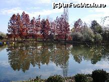 [P07] Parcul Ștrand din Pitești: portret al toamnei » foto by mariana.olaru
 - 
<span class="allrVoted glyphicon glyphicon-heart hidden" id="av306818"></span>
<a class="m-l-10 hidden" id="sv306818" onclick="voting_Foto_DelVot(,306818,4219)" role="button">șterge vot <span class="glyphicon glyphicon-remove"></span></a>
<a id="v9306818" class=" c-red"  onclick="voting_Foto_SetVot(306818)" role="button"><span class="glyphicon glyphicon-heart-empty"></span> <b>LIKE</b> = Votează poza</a> <img class="hidden"  id="f306818W9" src="/imagini/loader.gif" border="0" /><span class="AjErrMes hidden" id="e306818ErM"></span>