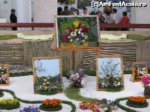 [P09] Tablouri din flori - Aranjamente florale în interiorul Casei Cărții.  » foto by tata123 🔱
 - 
<span class="allrVoted glyphicon glyphicon-heart hidden" id="av614815"></span>
<a class="m-l-10 hidden" id="sv614815" onclick="voting_Foto_DelVot(,614815,4219)" role="button">șterge vot <span class="glyphicon glyphicon-remove"></span></a>
<a id="v9614815" class=" c-red"  onclick="voting_Foto_SetVot(614815)" role="button"><span class="glyphicon glyphicon-heart-empty"></span> <b>LIKE</b> = Votează poza</a> <img class="hidden"  id="f614815W9" src="/imagini/loader.gif" border="0" /><span class="AjErrMes hidden" id="e614815ErM"></span>