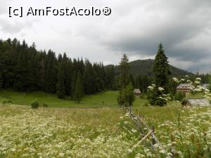 [P03]  -- <small>// FĂRĂ DESCRIERE</small> » foto by spirid72
 - 
<span class="allrVoted glyphicon glyphicon-heart hidden" id="av833455"></span>
<a class="m-l-10 hidden" id="sv833455" onclick="voting_Foto_DelVot(,833455,4234)" role="button">șterge vot <span class="glyphicon glyphicon-remove"></span></a>
<a id="v9833455" class=" c-red"  onclick="voting_Foto_SetVot(833455)" role="button"><span class="glyphicon glyphicon-heart-empty"></span> <b>LIKE</b> = Votează poza</a> <img class="hidden"  id="f833455W9" src="/imagini/loader.gif" border="0" /><span class="AjErrMes hidden" id="e833455ErM"></span>