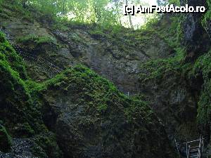 [P20] Avenul peșterii: deosebit!  » foto by Alina Roxana
 - 
<span class="allrVoted glyphicon glyphicon-heart hidden" id="av450089"></span>
<a class="m-l-10 hidden" id="sv450089" onclick="voting_Foto_DelVot(,450089,4234)" role="button">șterge vot <span class="glyphicon glyphicon-remove"></span></a>
<a id="v9450089" class=" c-red"  onclick="voting_Foto_SetVot(450089)" role="button"><span class="glyphicon glyphicon-heart-empty"></span> <b>LIKE</b> = Votează poza</a> <img class="hidden"  id="f450089W9" src="/imagini/loader.gif" border="0" /><span class="AjErrMes hidden" id="e450089ErM"></span>