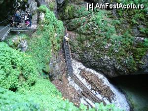 [P18] În partea de jos, treptele metalice sunt aproape distruse iar coborârea se continuă cu scări de lemn care sunt destul de alunecoase.  » foto by Utube
 - 
<span class="allrVoted glyphicon glyphicon-heart hidden" id="av415348"></span>
<a class="m-l-10 hidden" id="sv415348" onclick="voting_Foto_DelVot(,415348,4234)" role="button">șterge vot <span class="glyphicon glyphicon-remove"></span></a>
<a id="v9415348" class=" c-red"  onclick="voting_Foto_SetVot(415348)" role="button"><span class="glyphicon glyphicon-heart-empty"></span> <b>LIKE</b> = Votează poza</a> <img class="hidden"  id="f415348W9" src="/imagini/loader.gif" border="0" /><span class="AjErrMes hidden" id="e415348ErM"></span>