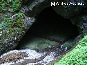 [P19] Intrarea în peșteră, la ghețar.  » foto by Utube
 - 
<span class="allrVoted glyphicon glyphicon-heart hidden" id="av415349"></span>
<a class="m-l-10 hidden" id="sv415349" onclick="voting_Foto_DelVot(,415349,4234)" role="button">șterge vot <span class="glyphicon glyphicon-remove"></span></a>
<a id="v9415349" class=" c-red"  onclick="voting_Foto_SetVot(415349)" role="button"><span class="glyphicon glyphicon-heart-empty"></span> <b>LIKE</b> = Votează poza</a> <img class="hidden"  id="f415349W9" src="/imagini/loader.gif" border="0" /><span class="AjErrMes hidden" id="e415349ErM"></span>