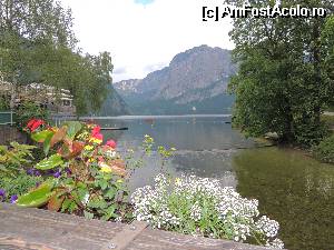 [P10] Munte si lac o imagine caracteristica a zonei Salzkammergut » foto by claudiu 71
 - 
<span class="allrVoted glyphicon glyphicon-heart hidden" id="av517019"></span>
<a class="m-l-10 hidden" id="sv517019" onclick="voting_Foto_DelVot(,517019,4238)" role="button">șterge vot <span class="glyphicon glyphicon-remove"></span></a>
<a id="v9517019" class=" c-red"  onclick="voting_Foto_SetVot(517019)" role="button"><span class="glyphicon glyphicon-heart-empty"></span> <b>LIKE</b> = Votează poza</a> <img class="hidden"  id="f517019W9" src="/imagini/loader.gif" border="0" /><span class="AjErrMes hidden" id="e517019ErM"></span>