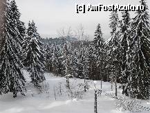 [P19]  -- <small>// FĂRĂ DESCRIERE</small> » foto by wwana
 - 
<span class="allrVoted glyphicon glyphicon-heart hidden" id="av295499"></span>
<a class="m-l-10 hidden" id="sv295499" onclick="voting_Foto_DelVot(,295499,4240)" role="button">șterge vot <span class="glyphicon glyphicon-remove"></span></a>
<a id="v9295499" class=" c-red"  onclick="voting_Foto_SetVot(295499)" role="button"><span class="glyphicon glyphicon-heart-empty"></span> <b>LIKE</b> = Votează poza</a> <img class="hidden"  id="f295499W9" src="/imagini/loader.gif" border="0" /><span class="AjErrMes hidden" id="e295499ErM"></span>